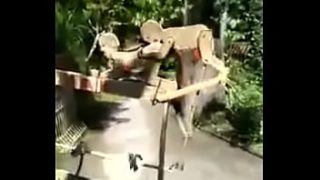 Video Mesum Indonesia