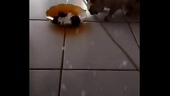 Gadis Seksi yang Menggoda