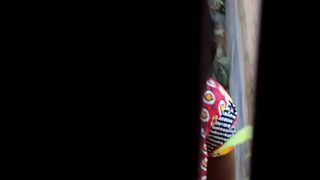 Desi Mengencingi dan Buang Air Kecil 4.AVI