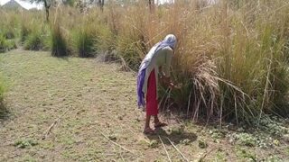 Video mesum di ladang antara pekerja dan pria nakal